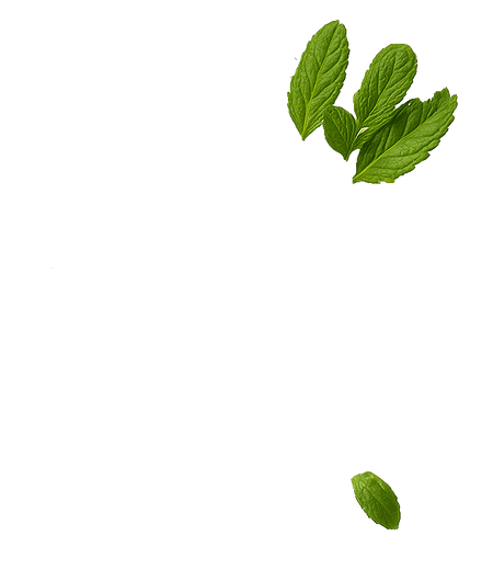 yanaa mint ingredients