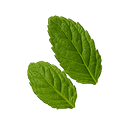 mint