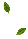 mint
