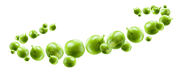 pea_orbit
