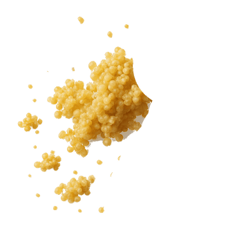 quinoa