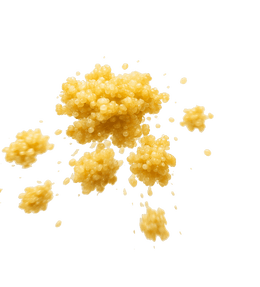Quinoa