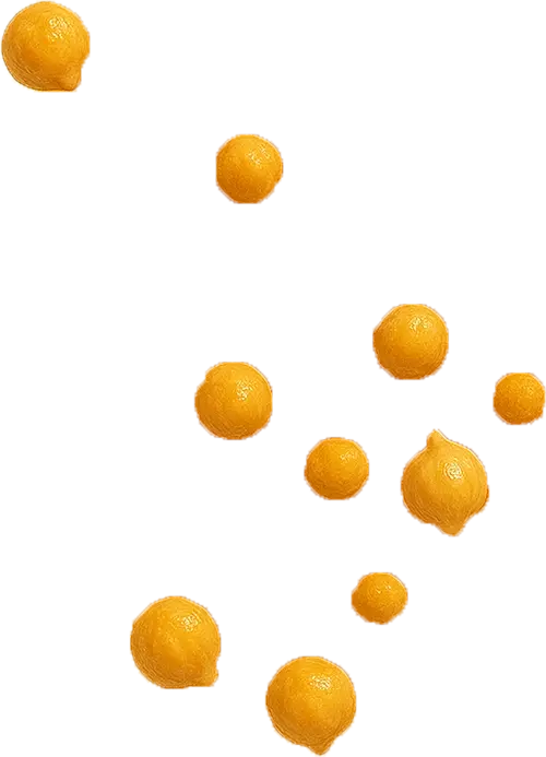 yanaa-garbonzo-nutrition-sportive