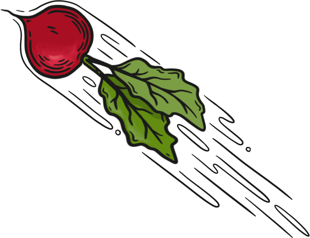 Radish