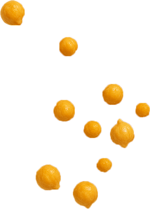 garbanzo 