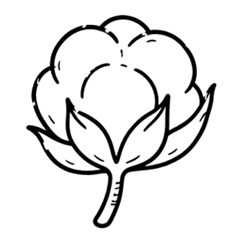 Organic Cotton